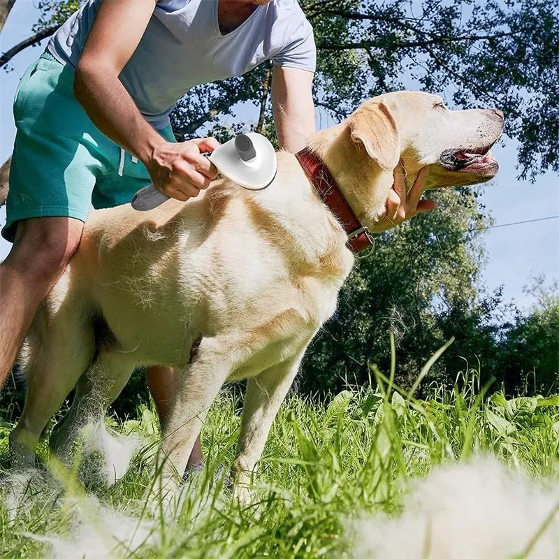 Escova removedora de pelos para gatos e cachorros